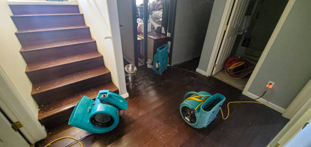 Trusted MS Water damage restoration Experts