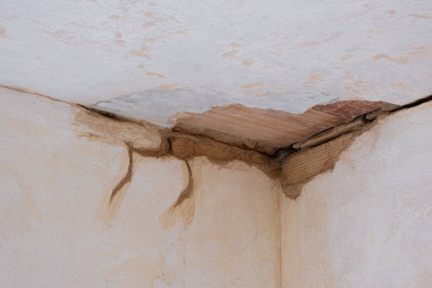 Best Water damage cleanup near me  in Vaiden, MS