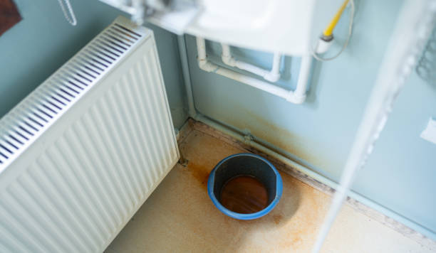 Best Basement water damage restoration  in Vaiden, MS