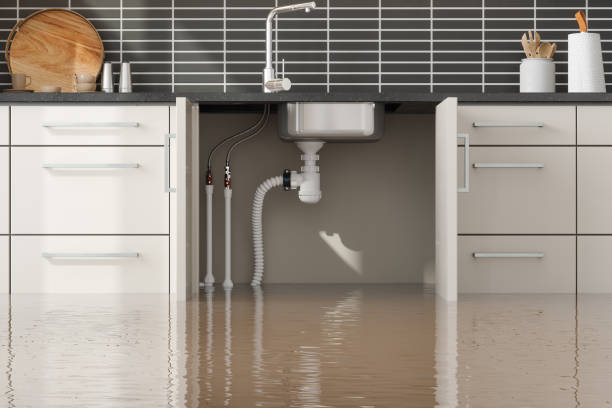 Best Water damage restoration process  in Vaiden, MS